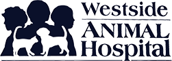 Veterinarian in Keene | Vet Near You | Westside Animal Hospital