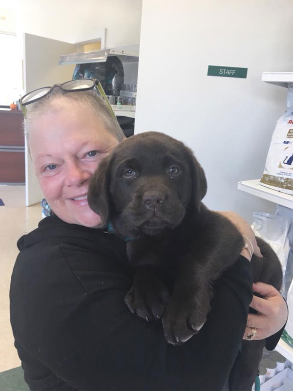 Veterinarian in Keene Vet Near You Westside Animal Hospital